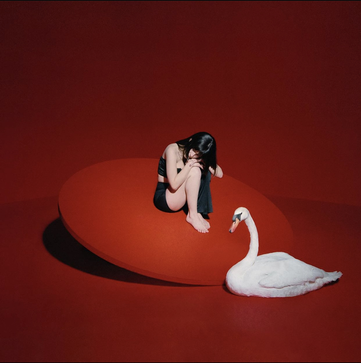 Red backdrop with person sitting in the middle next to a swan